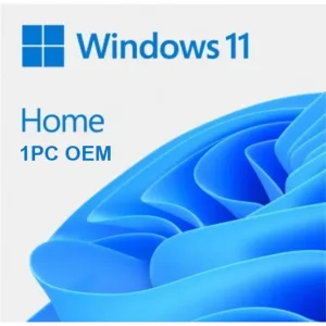 Windows 10/11 pro OEM
